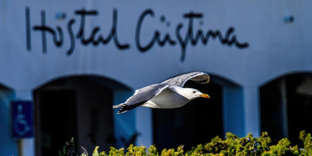Pensjonat Cristina *